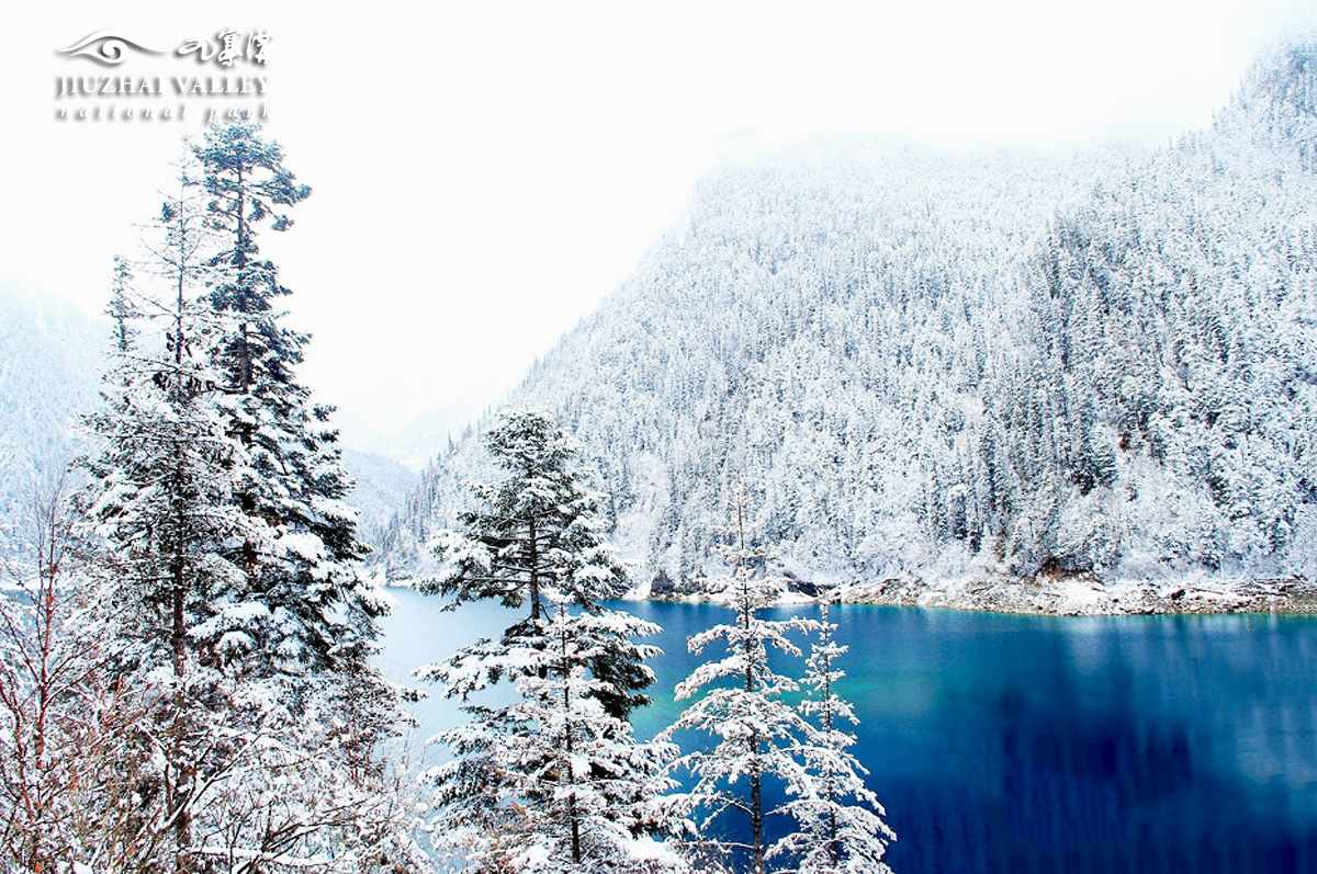 春节休闲去哪玩？九寨沟景区雪峰、蓝冰带你畅享视觉盛宴_四川在线